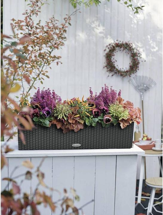 Actual product image Lechuza Balconera Cottage (19 cm)