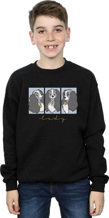 Immagine prodotto Disney Lady And The Tramp Lady Frames Felpa Ragazzi (140, 146)