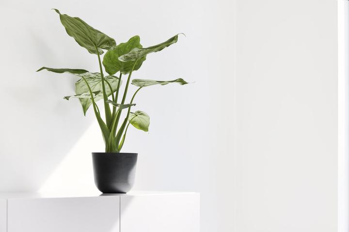 Produktbild Ecopots Oslo Mini (11.50 cm)