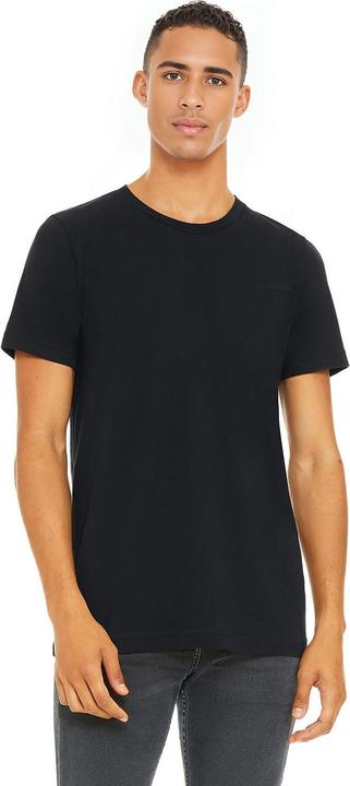 Actual product image Bella Canvas Unisex Adult Jersey Crew Neck T-Shirt (XL)