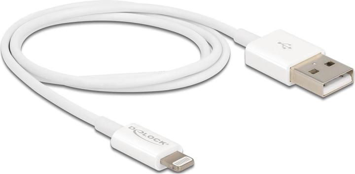 Image du produit Delock Câble de chargement USB pour iPhone 15 cm Blanc (0.15 m, USB 2.0)
