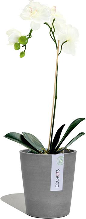 Image du produit Ecopots Morinda (14 cm)