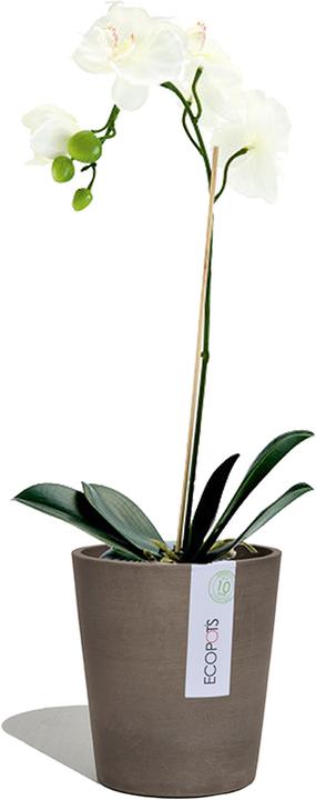 Produktbild Ecopots Morinda