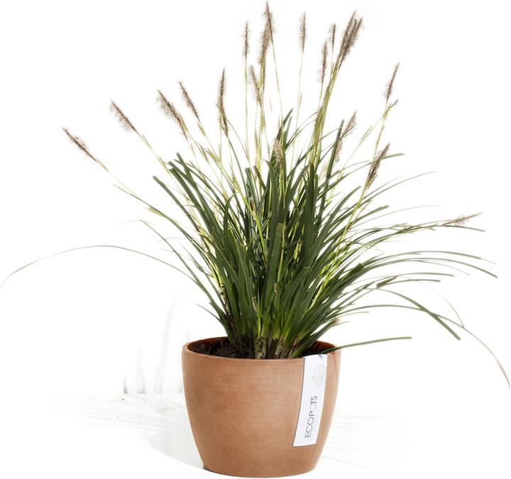 Actual product image Ecopots Stockholm