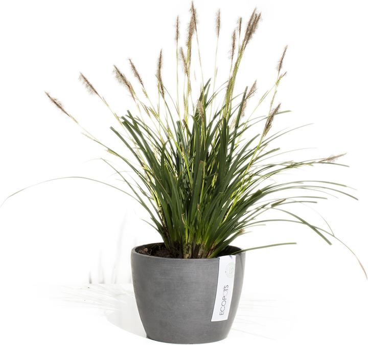 Immagine prodotto Ecopots Stoccolma (16 cm)