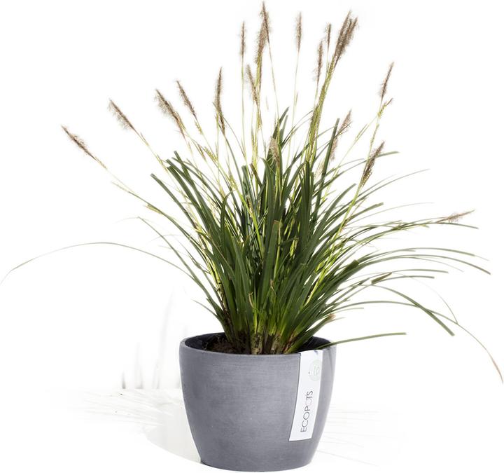 Actual product image Ecopots Stockholm