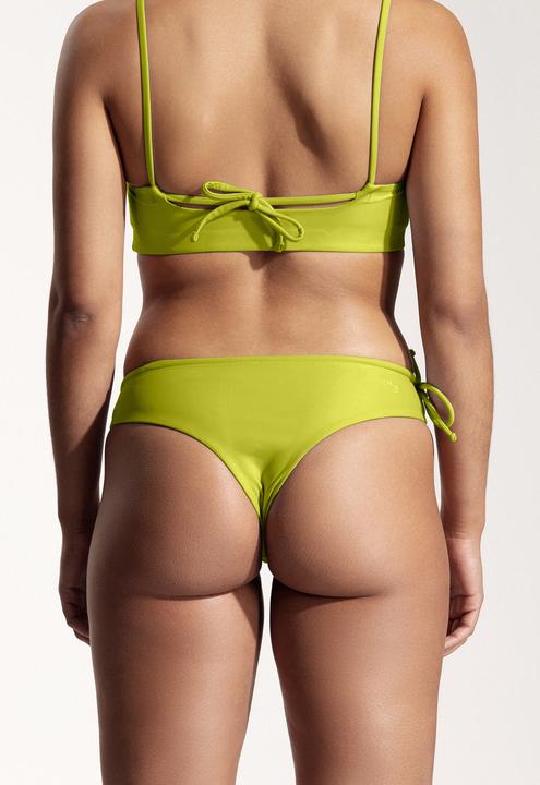 Vert