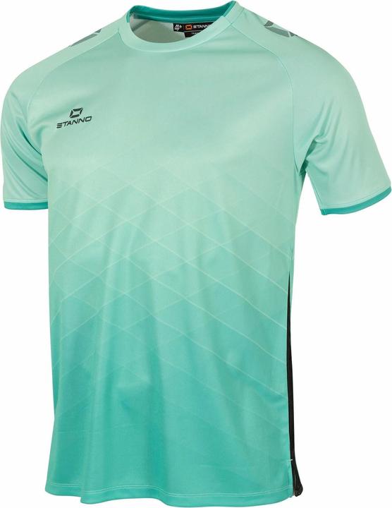 Mint, Anthracite