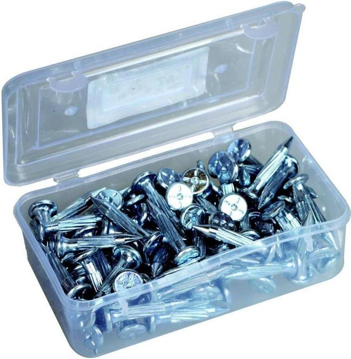 Actual product image Laserliner PK survey nails 50 x 6.35 mm 100 pieces