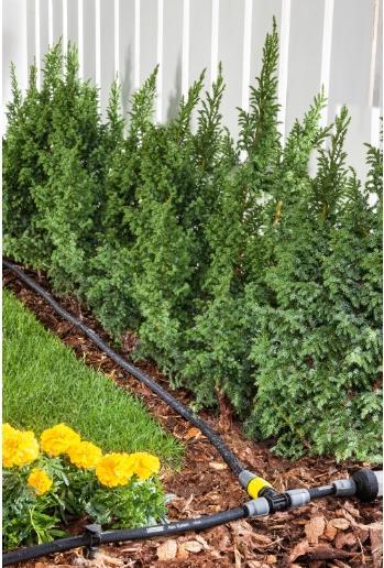 Actual product image Kärcher T-piece with regulation (Drip irrigation connector + branch)