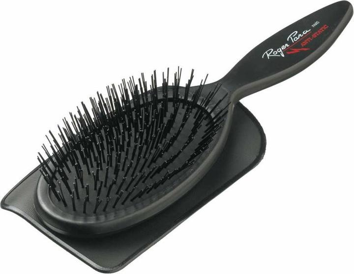 Roger Para Brush 06.16.006 antistatic