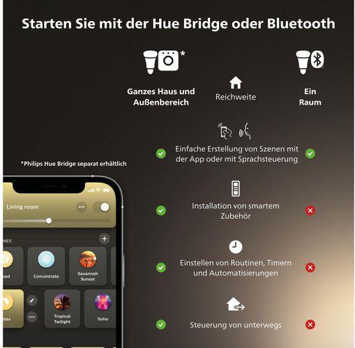 Actual product image Philips Hue White Ambiance Enrave (1200 lm)