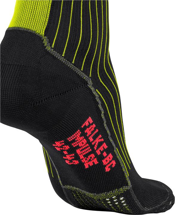 Image du produit Falke BC Impulse (37 - 38)