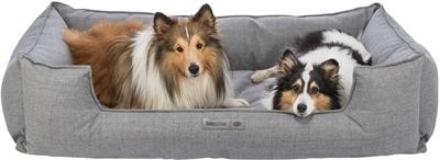 Actual product image Trixie Talis (Dog)