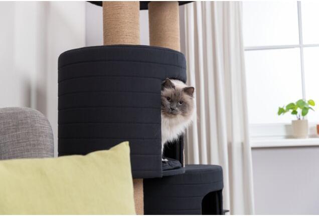 Immagine prodotto Trixie Albero per gatti XXL Teites, 148 cm, nero/marrone (148 cm, Nero, Marrone)