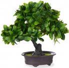 Ibergarden Plastik Bonsai grüne Blumen (28 cm)