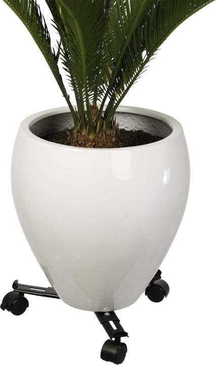 Image du produit Nature Silas