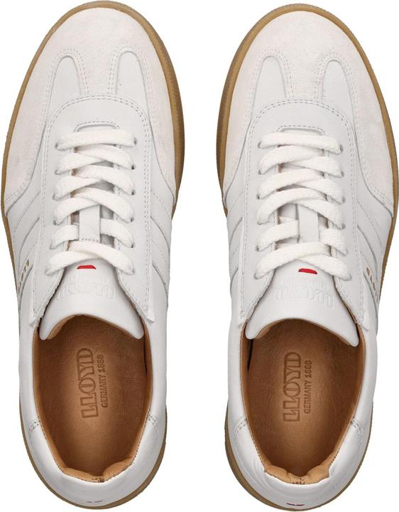 Actual product image Lloyd Akari Alpha (38)