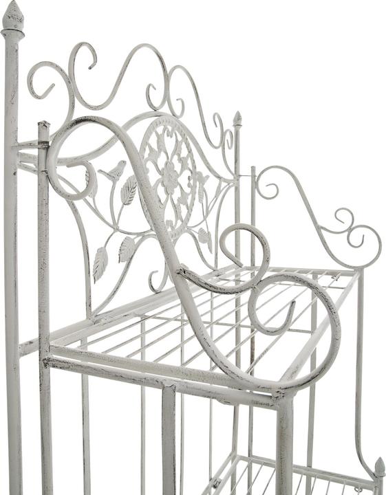 Produktbild CLP Flora Eisen (66 x 32 x 175 cm)