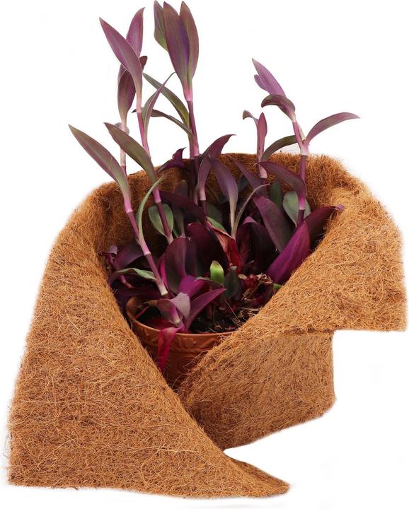 Immagine prodotto Aquagart 6m Kokosmatte Winterschutz Böschungsmatte Kokosfasermatte 800g/m² 1m breit