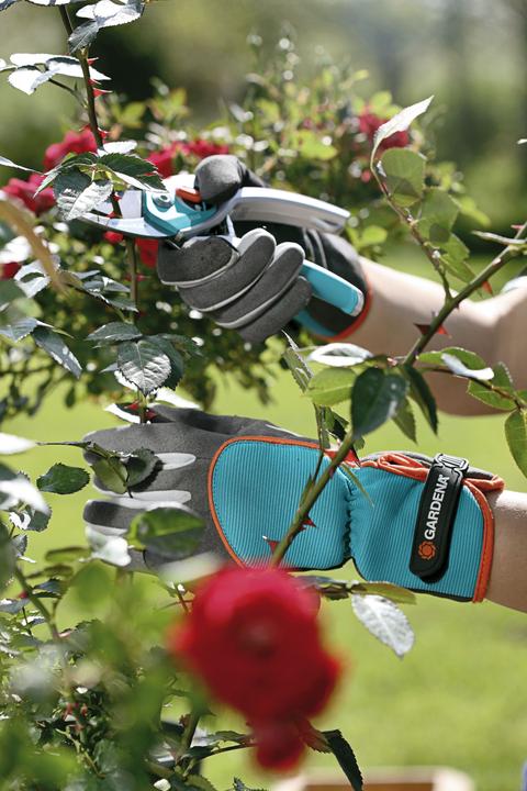 Image du produit Gardena Gant de protection des arbustes (L)
