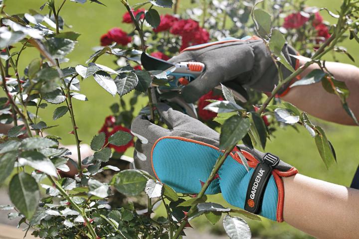 Image du produit Gardena Gant de protection des arbustes (L)