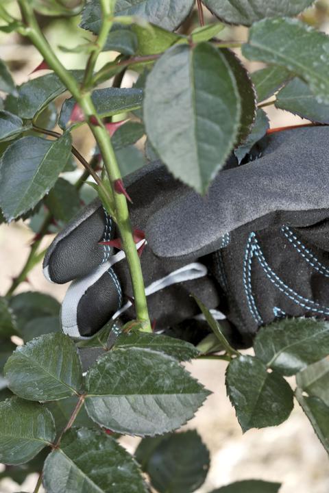 Image du produit Gardena Gant de protection des arbustes (L)