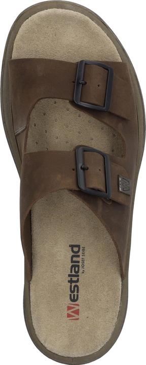 Actual product image Westland 45804-348 (42)