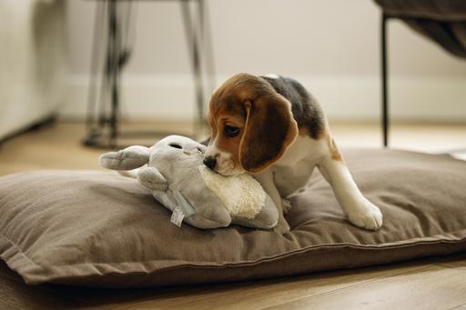 Image du produit Beeztees Jouets à câliner pour chiots et simulateur de rythme cardiaque