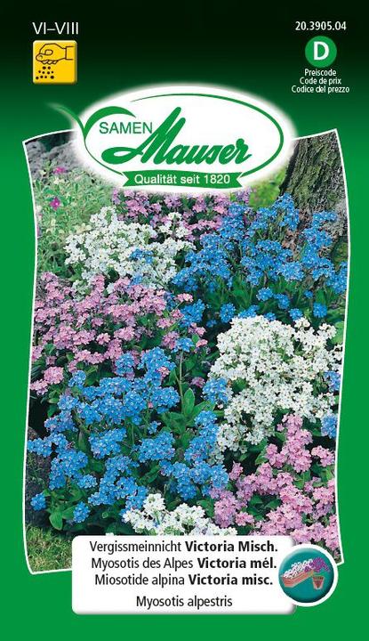 Actual product image Samen Mauser Forget-Me-Not Victoria (Flower seeds)