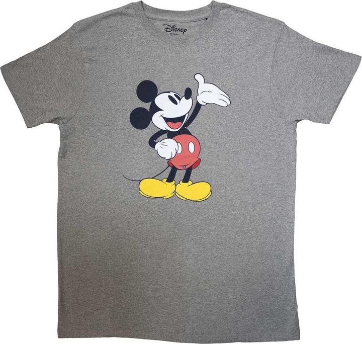 Mickey Mouse Reveal