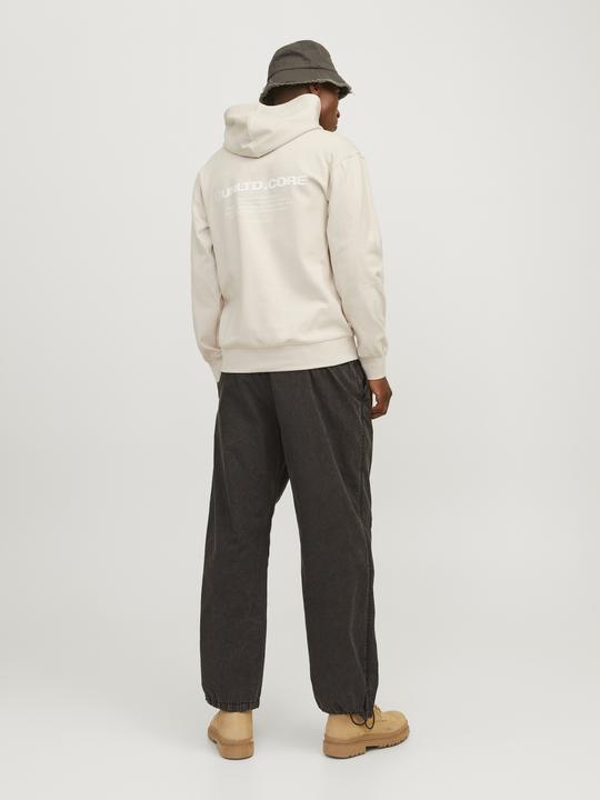 Produktbild Jack & Jones Jcoaero Print Sweat Hood Noos (L)