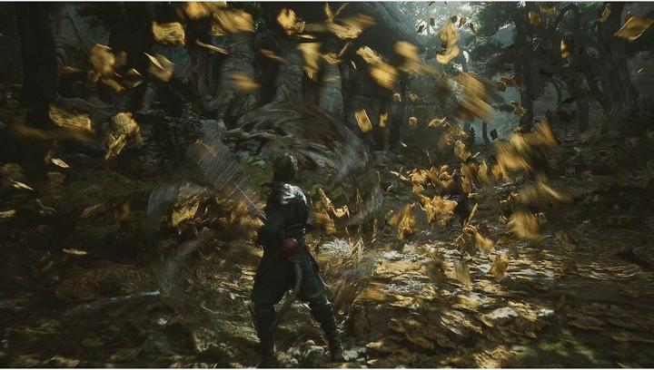 Productafbeelding Game Science Zwarte Mythe Wukong (PS5, DE)