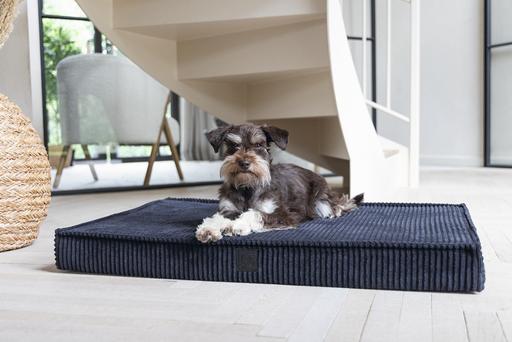 Actual product image Designed by Lotte Orthopaed cage cushion Ribbed (Dog)