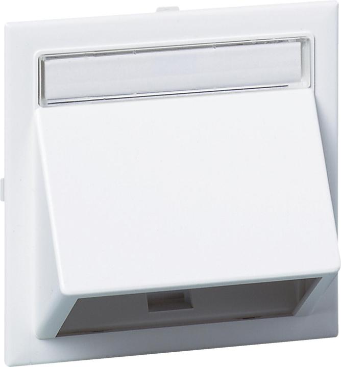Actual product image Schneider Angled data cap for Wall