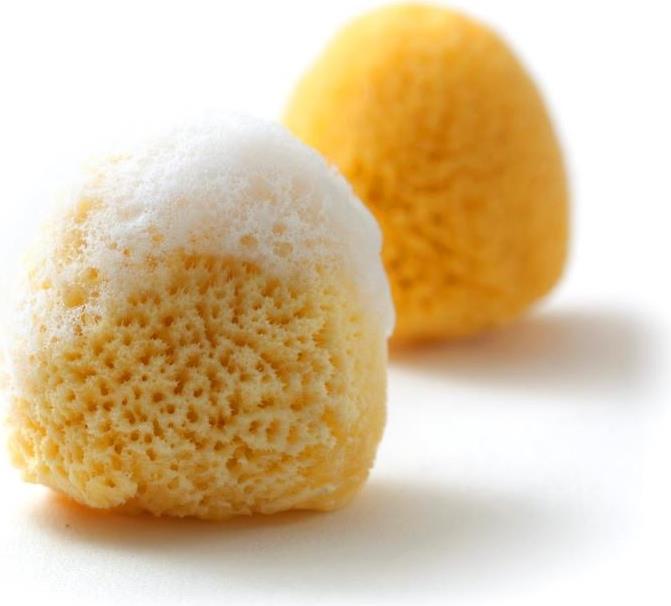 Actual product image Grünspecht Natural sponge Zimocca