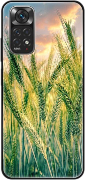 Cornfield