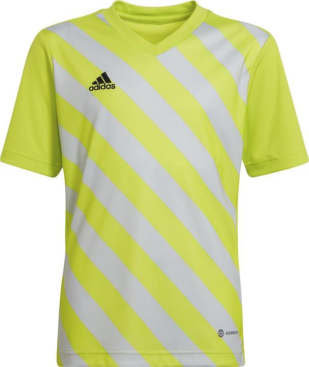 adidas Entrada 22 Graphic Trikot (116)