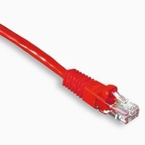 Actual product image Wirewin Network cable (F/FTP, CAT6, 2 m)