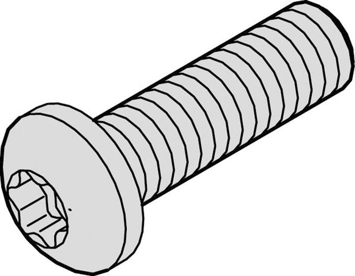 Actual product image Schroff Torx pan head screw - LIKOSHR M4X6 PENTORX (100pcs)
