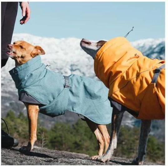 Immagine prodotto Hurtta Parka Expedition - Inverno (45, Cappotto per cani)