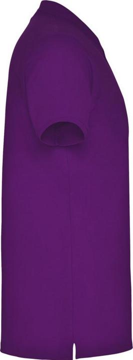 Actual product image Alpinia Mens Star Short-Sleeved Polo Shirt (XL)