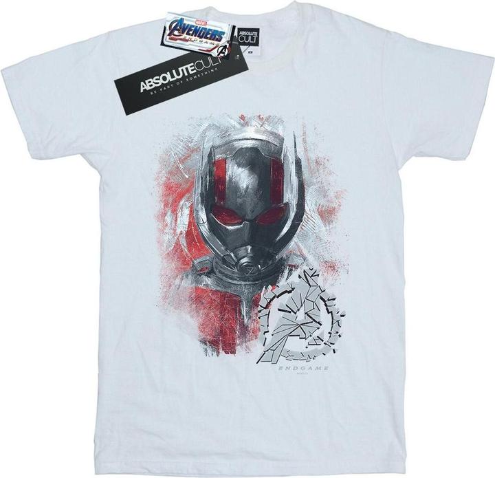 Produktbild Jungen Avengers Endgame AntMan gebürstetes TShirt (152, 158)