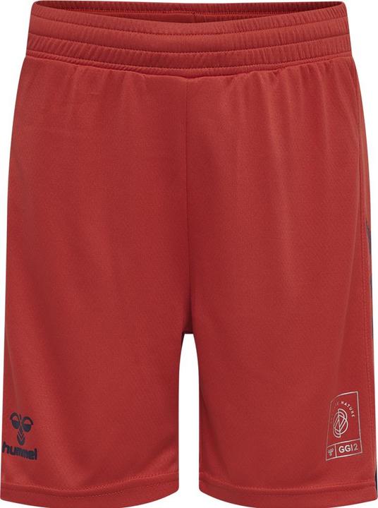 Actual product image hummel Gg12 Action Shorts Kids (164)