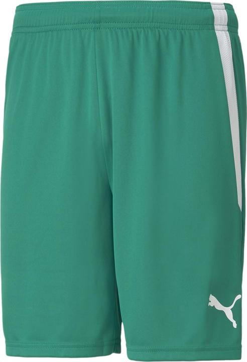 Actual product image Puma teamLIGA Shorts-704924 (L)