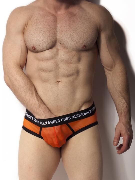 Produktbild Alexander Cobb Transparent Slip (L)