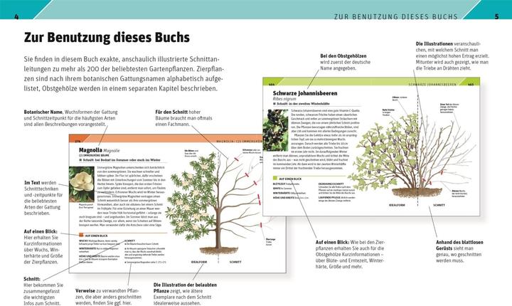 Actual product image Gartenwissen Pflanzenschnitt (German, Andrew Mikolajski, 2021)