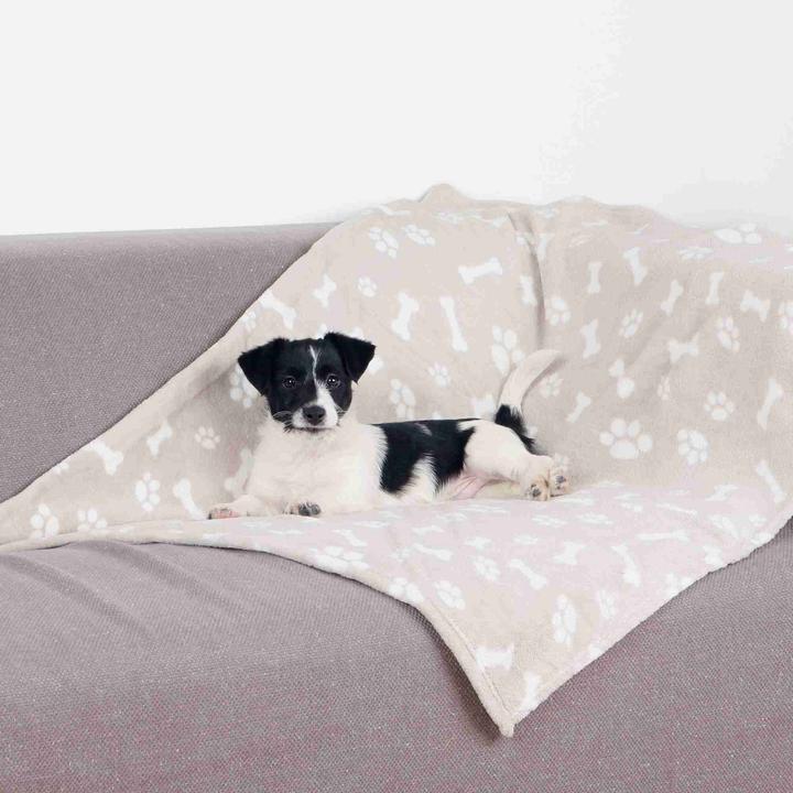 Actual product image Trixie Kenny (Dog)