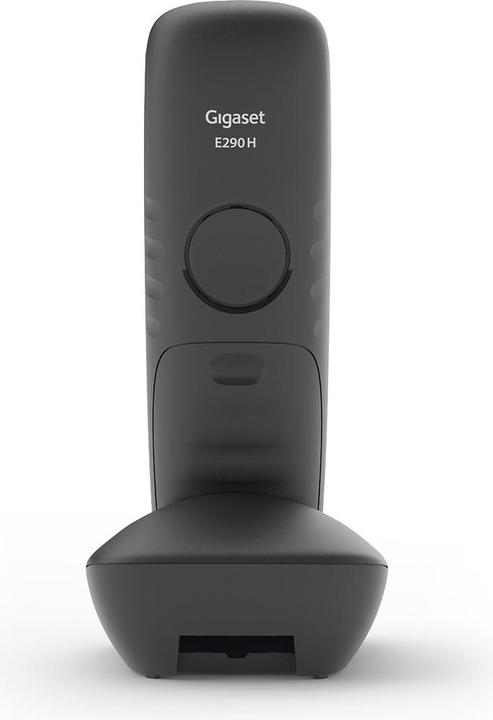 Actual product image Gigaset E290HX