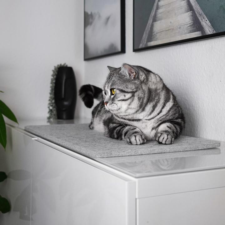 Actual product image LucyBalu FELTY Fensterbrettauflage (Cat)